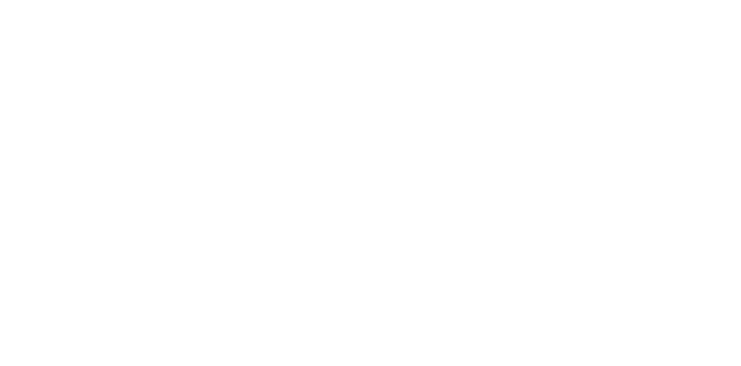 Logo Weiss Transparent